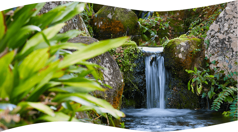 水と豊かな自然