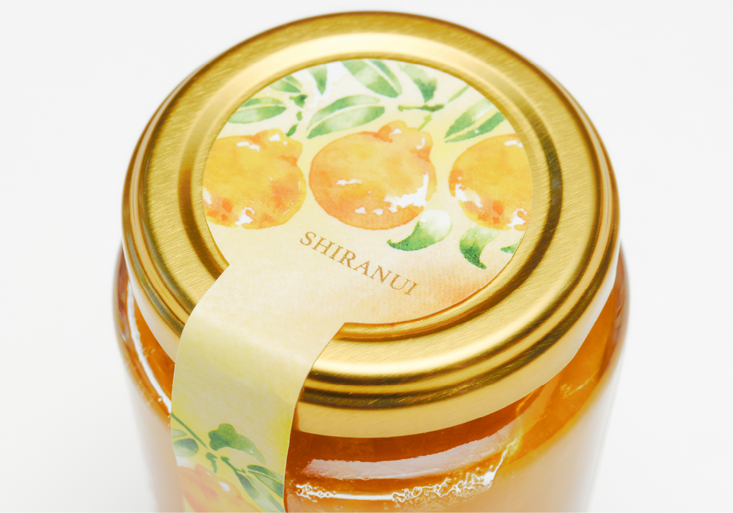 不知火の実と色とりどりの葉が水彩で描かれたラベル。