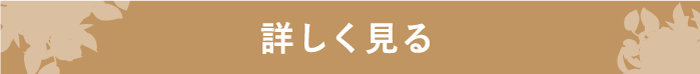 詳細を見る