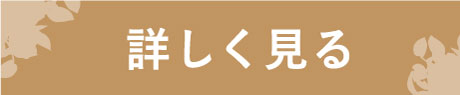 詳しく見る